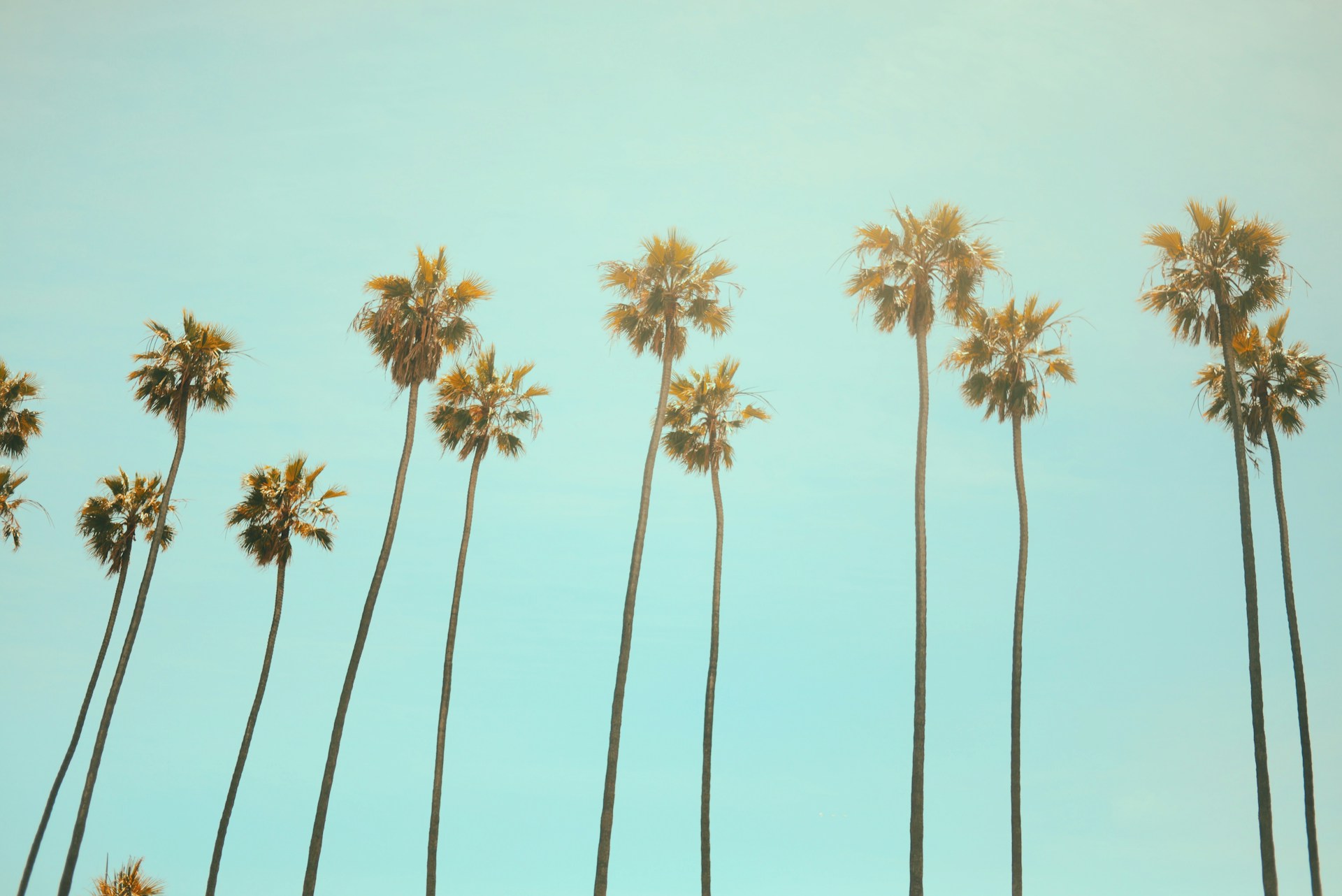 Navigating small claims court in California
